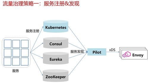 Istio流量治理與監(jiān)控管理 構(gòu)建信息處理與存儲(chǔ)支持服務(wù)的關(guān)鍵支柱