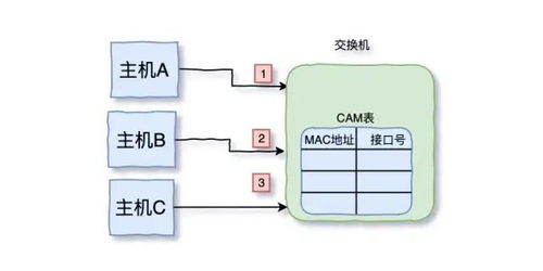 三天兩夜肝完這篇萬(wàn)字長(zhǎng)文 面試再也不怕被問(wèn)到TCP/IP了